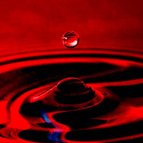 Devotion (Jenceno Remix)