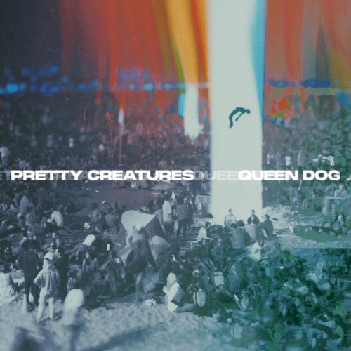 Queen Dog