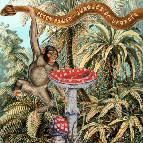 Jungles of Ufordia
