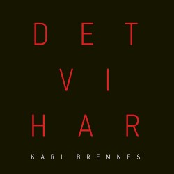Det vi har