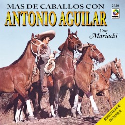Más de caballos