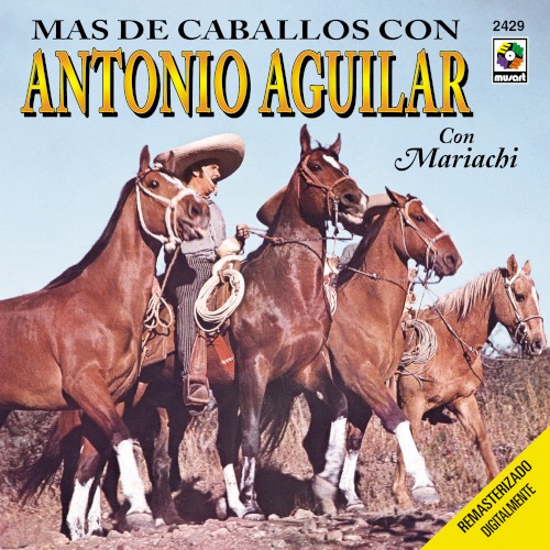 Más de caballos