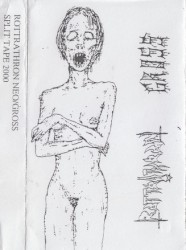Split Tape 2000