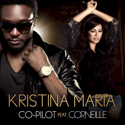 Co‐Pilot