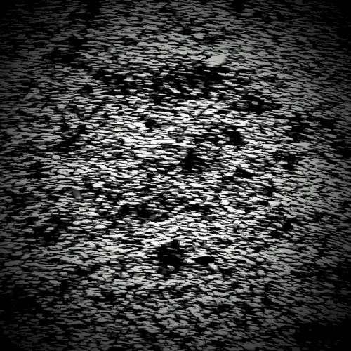 grains of sound