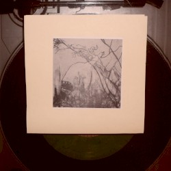big web seven inch