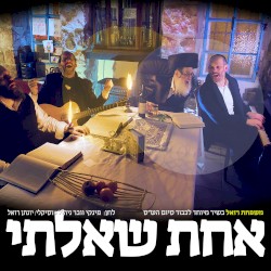 אחת שאלתי