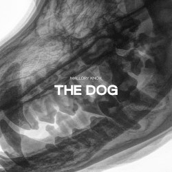 The Dog