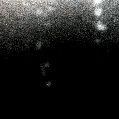 Just More Void Variations