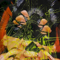 Biggie oder Tupac