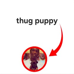 THUG PUPPY