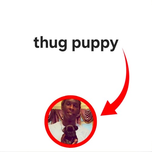 THUG PUPPY