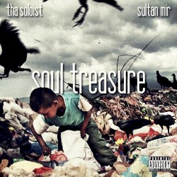 Soul Treasure
