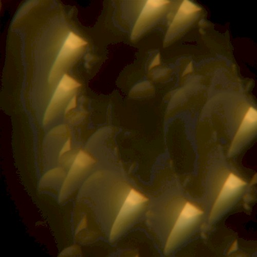Music From 'Likely Stories'