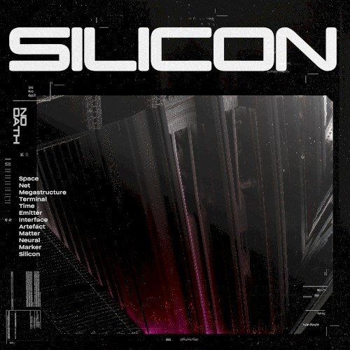 Silicon