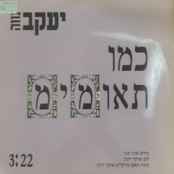 כמו תאומימ