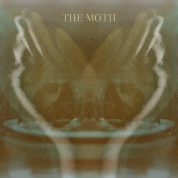 The Moth