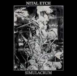 Simulacrum