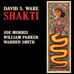 Shakti