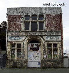 What Noisy Cats