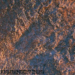 Anfractuous