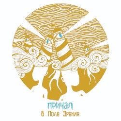В поле зрения