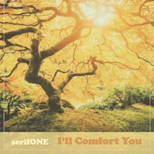 I’ll Comfort You