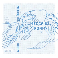 ROAM