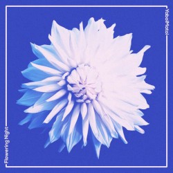 Flowering Night