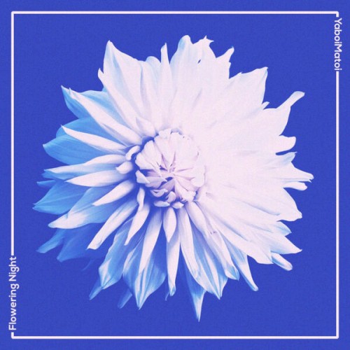 Flowering Night