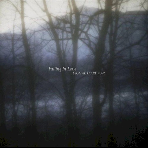 falling in love
