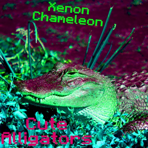 Cute Alligators (Complete Mix)