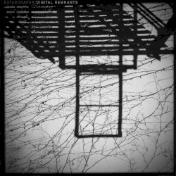 Digital Remnants