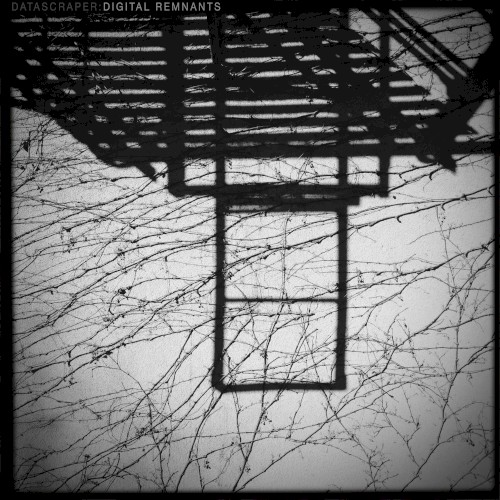 Digital Remnants