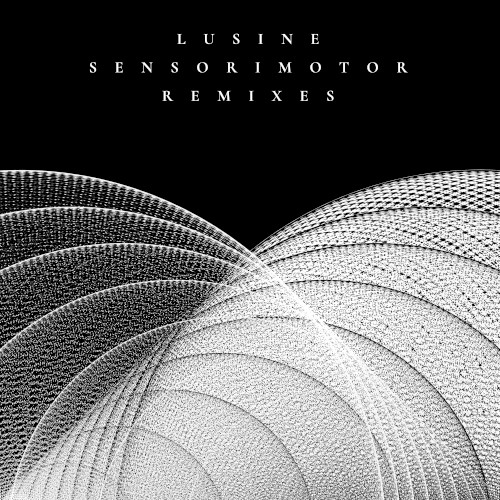 Sensorimotor Remixes