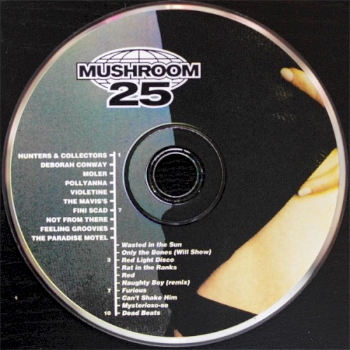 Mushroom 25