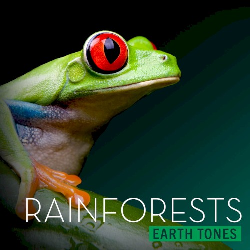 Rainforests