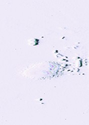 蟄虫坏戸