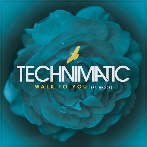 Walk to You