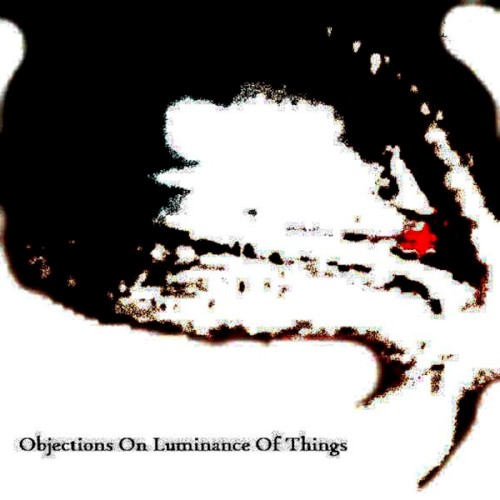 Objections on Luminance of Things