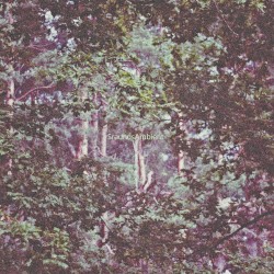 Ambient