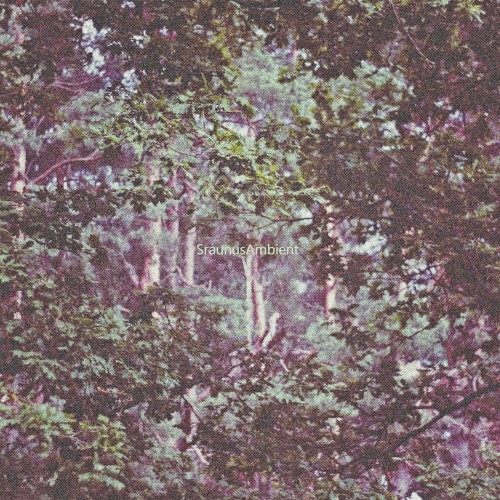 Ambient