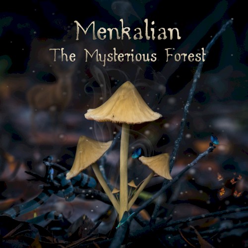 The Mysterious Forest