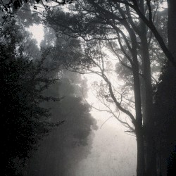 Images, Vol. 6