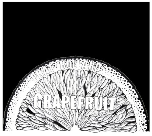 Grapefruit