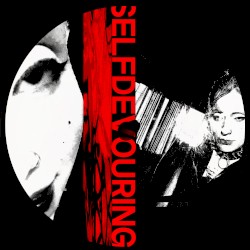 Selfdevouring