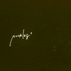 Nuutleg1