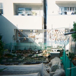 delsol