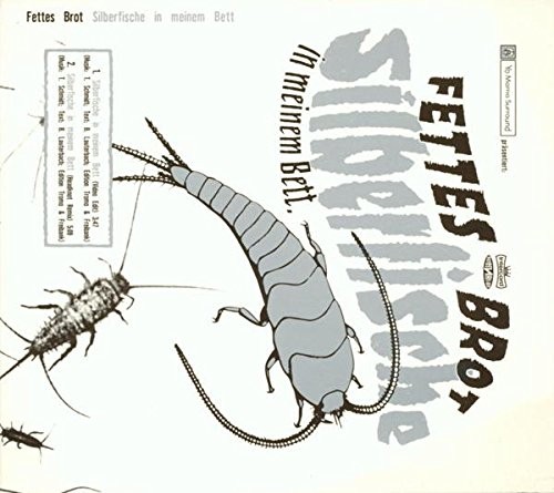 Silberfische in meinem Bett