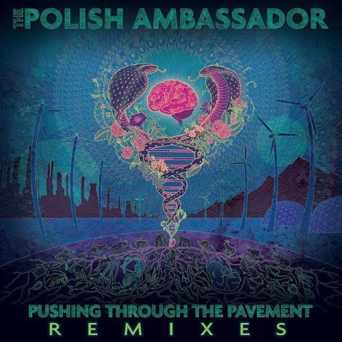Pushing Through the Pavement (Remixes)